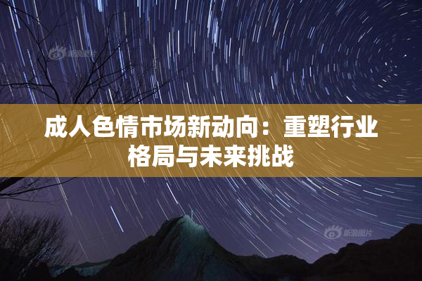 成人色情市场新动向：重塑行业格局与未来挑战