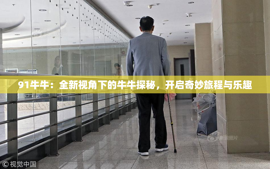 91牛牛：全新视角下的牛牛探秘，开启奇妙旅程与乐趣