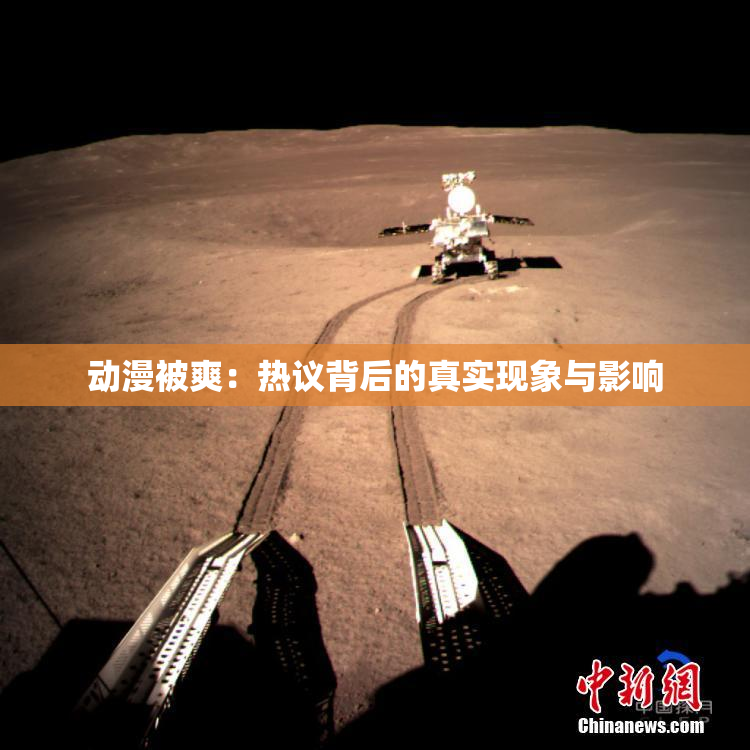 动漫被爽：热议背后的真实现象与影响