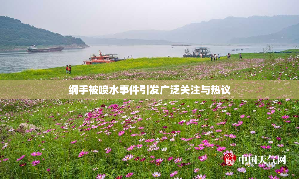 纲手被喷水事件引发广泛关注与热议