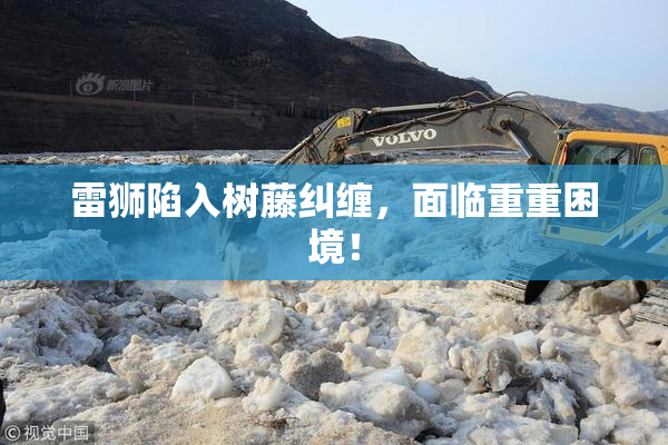 雷狮陷入树藤纠缠，面临重重困境！