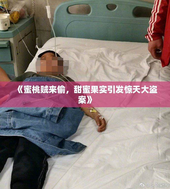 《蜜桃贼来偷，甜蜜果实引发惊天大盗案》