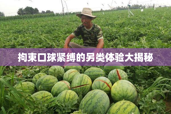 拘束口球紧缚的另类体验大揭秘