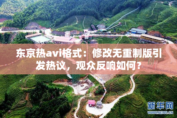 东京热avi格式：修改无重制版引发热议，观众反响如何？
