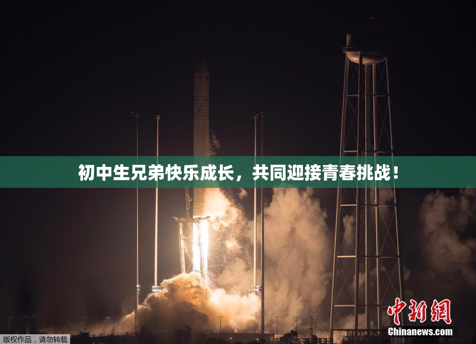 初中生兄弟快乐成长，共同迎接青春挑战！