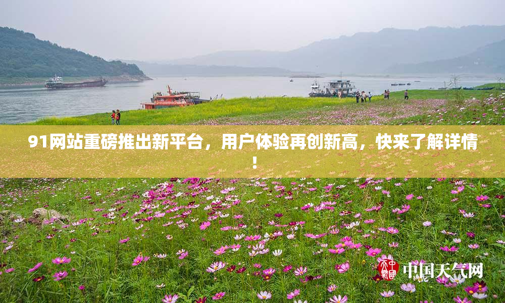 91网站重磅推出新平台，用户体验再创新高，快来了解详情！