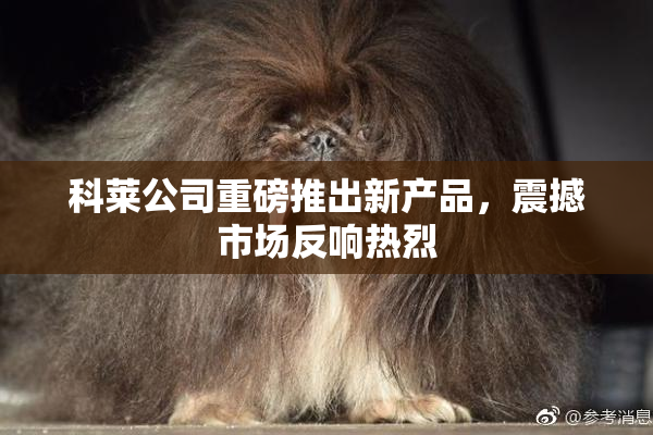 科莱公司重磅推出新产品，震撼市场反响热烈