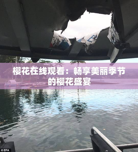 樱花在线观看：畅享美丽季节的樱花盛宴