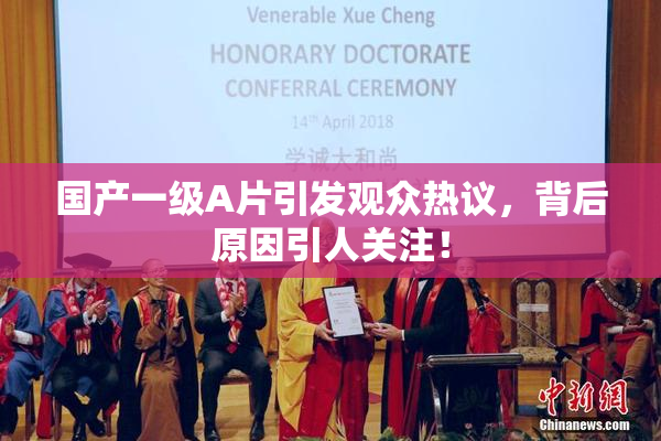 国产一级A片引发观众热议，背后原因引人关注！