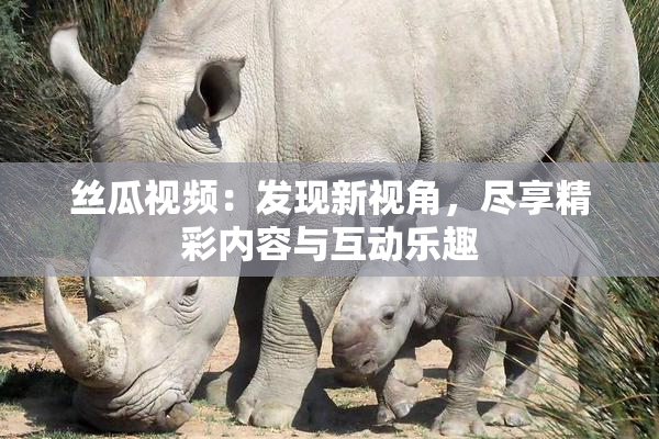 丝瓜视频：发现新视角，尽享精彩内容与互动乐趣
