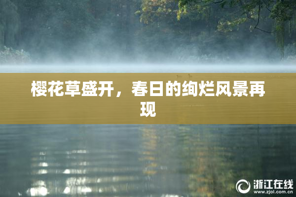 樱花草盛开，春日的绚烂风景再现