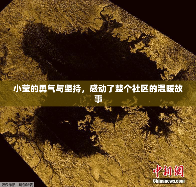 小莹的勇气与坚持，感动了整个社区的温暖故事