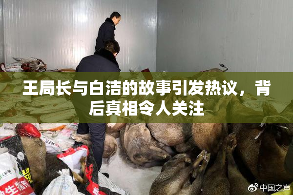 王局长与白洁的故事引发热议，背后真相令人关注