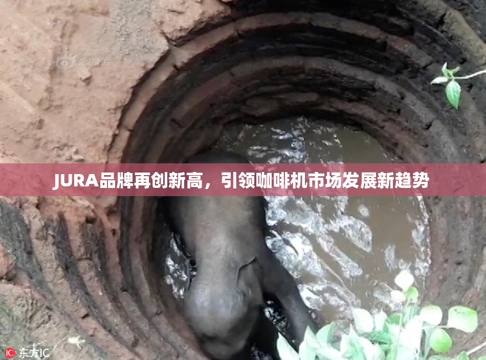 JURA品牌再创新高，引领咖啡机市场发展新趋势