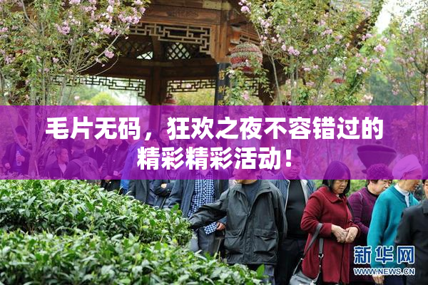 毛片无码，狂欢之夜不容错过的精彩精彩活动！