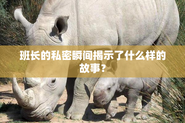 班长的私密瞬间揭示了什么样的故事？