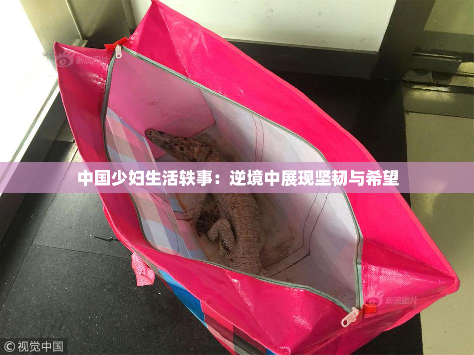 中国少妇生活轶事：逆境中展现坚韧与希望