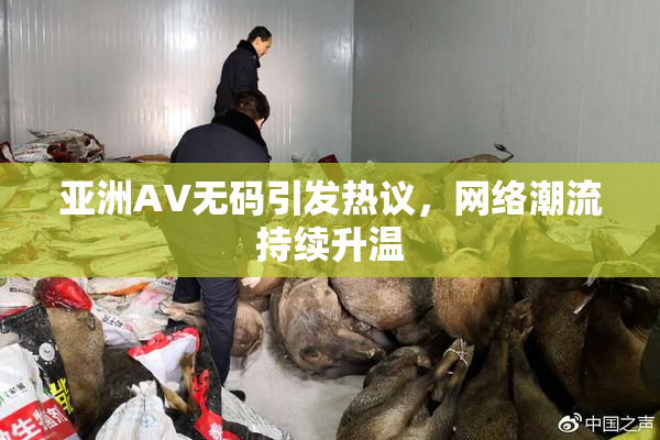 亚洲AV无码引发热议，网络潮流持续升温
