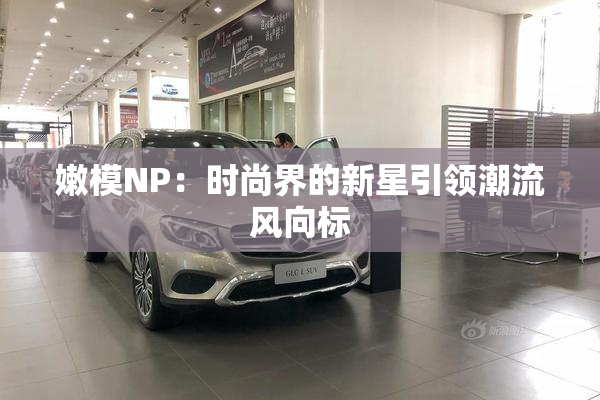 嫩模NP：时尚界的新星引领潮流风向标
