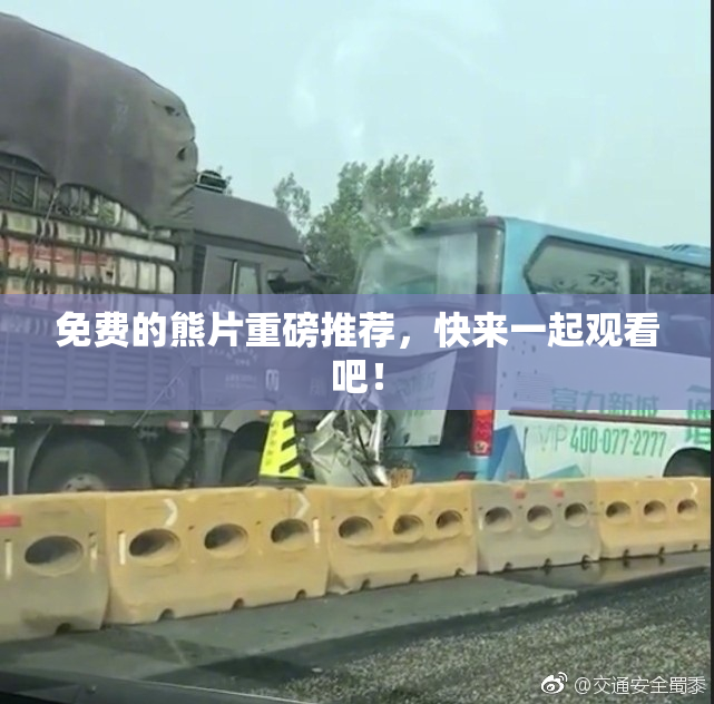 免费的熊片重磅推荐，快来一起观看吧！