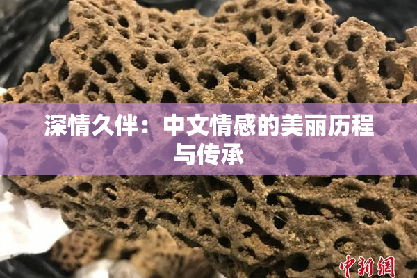 深情久伴：中文情感的美丽历程与传承