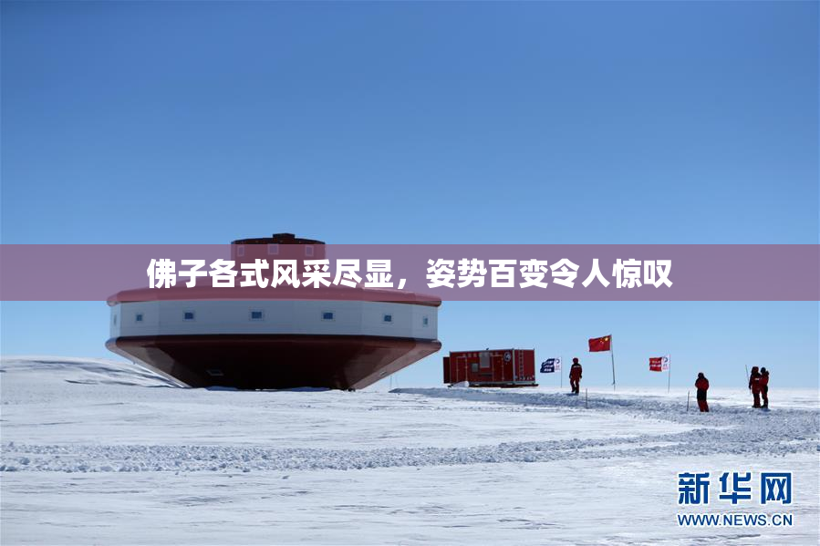 佛子各式风采尽显，姿势百变令人惊叹