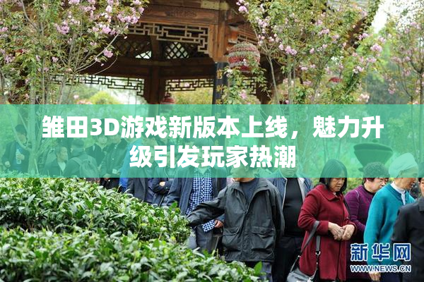 雏田3D游戏新版本上线，魅力升级引发玩家热潮