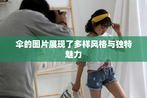 伞的图片展现了多样风格与独特魅力