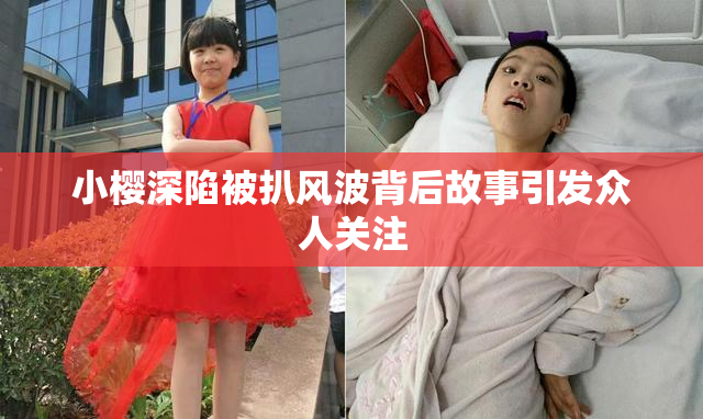 小樱深陷被扒风波背后故事引发众人关注