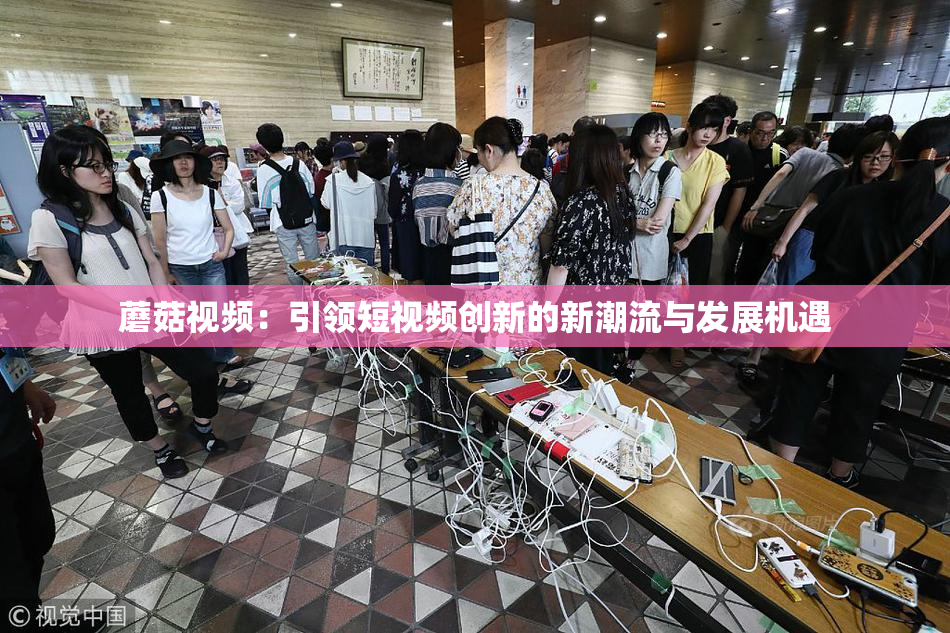 蘑菇视频：引领短视频创新的新潮流与发展机遇