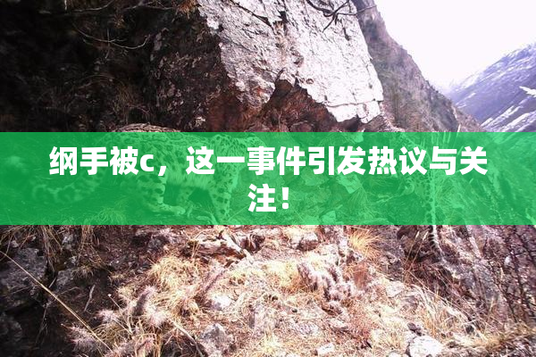 纲手被c，这一事件引发热议与关注！
