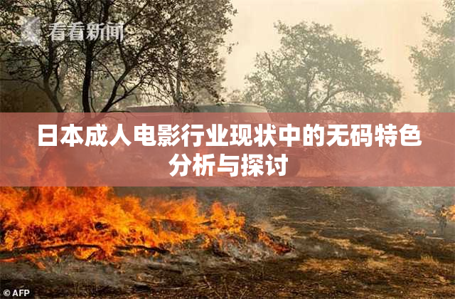 日本成人电影行业现状中的无码特色分析与探讨