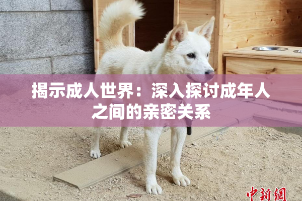 揭示成人世界：深入探讨成年人之间的亲密关系