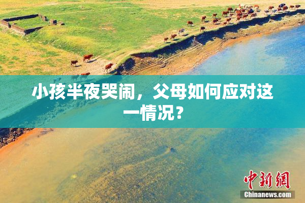 小孩半夜哭闹，父母如何应对这一情况？