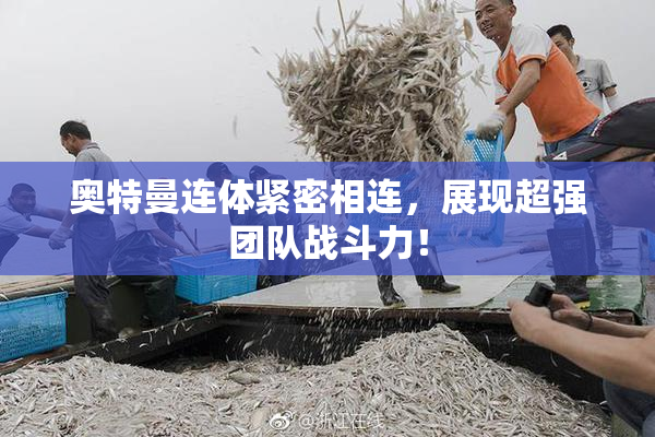 奥特曼连体紧密相连，展现超强团队战斗力！