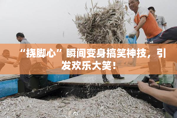 “挠脚心”瞬间变身搞笑神技，引发欢乐大笑！