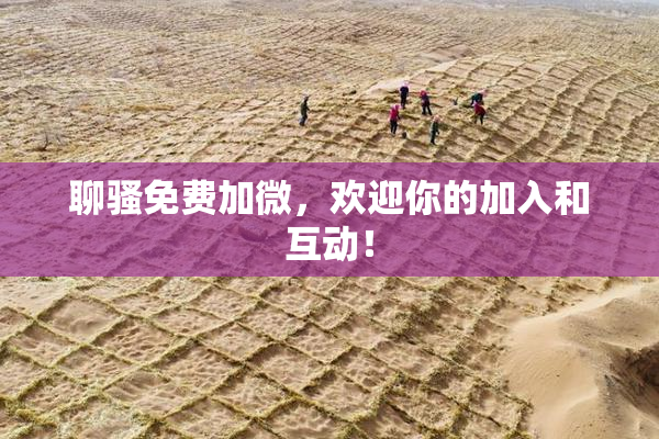 聊骚免费加微，欢迎你的加入和互动！