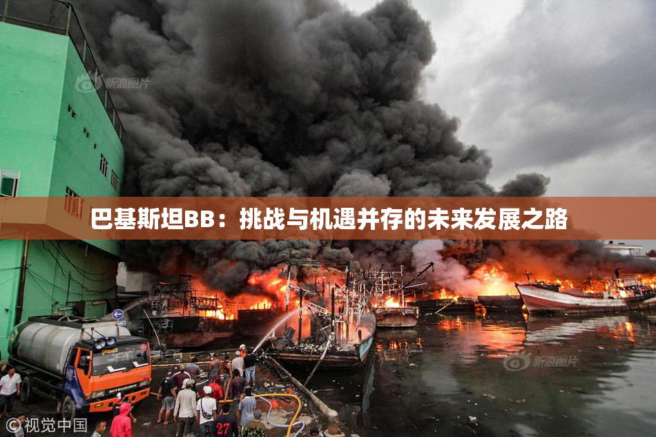 巴基斯坦BB：挑战与机遇并存的未来发展之路
