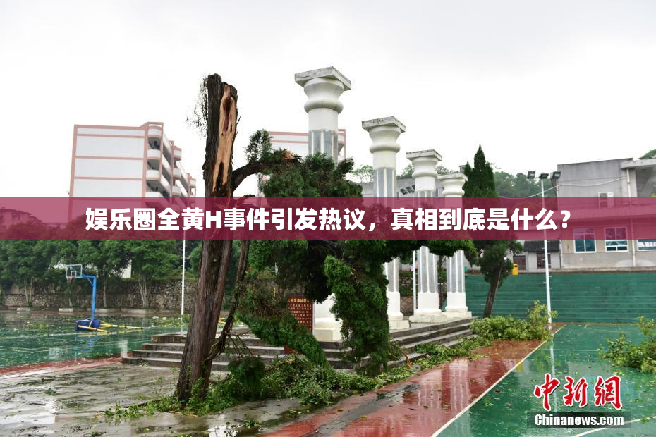 娱乐圈全黄H事件引发热议，真相到底是什么？