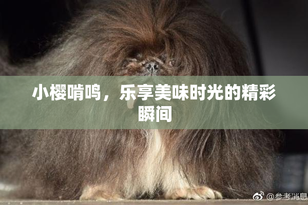 小樱啃鸣，乐享美味时光的精彩瞬间