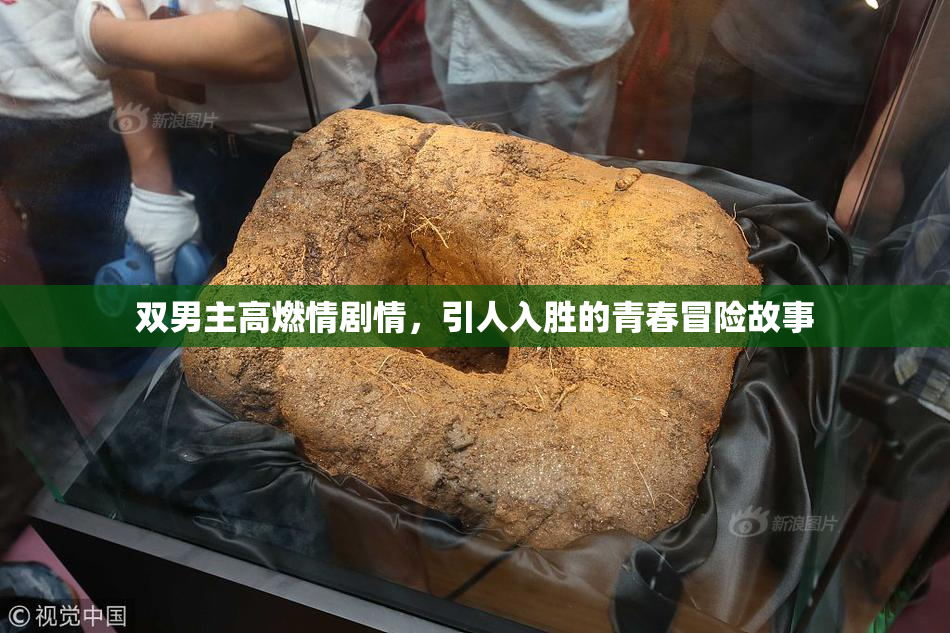 双男主高燃情剧情，引人入胜的青春冒险故事