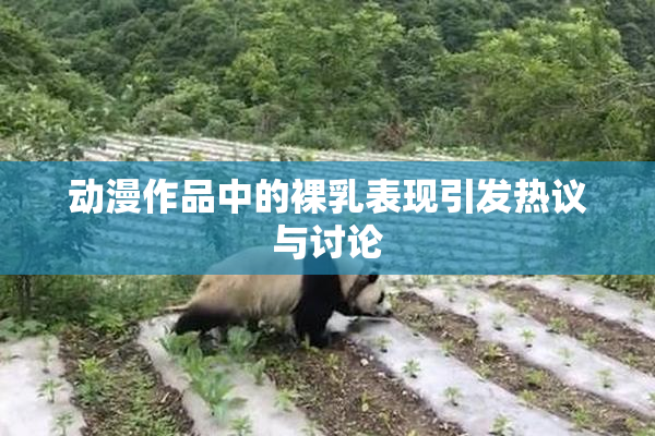 动漫作品中的裸乳表现引发热议与讨论