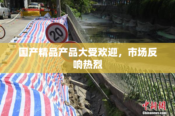 国产精品产品大受欢迎，市场反响热烈
