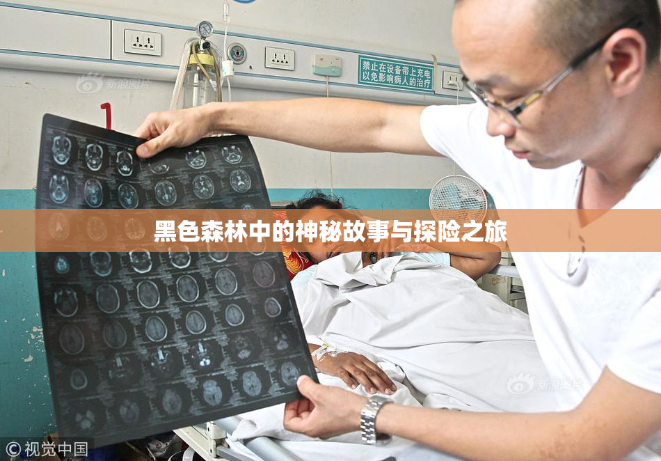 黑色森林中的神秘故事与探险之旅