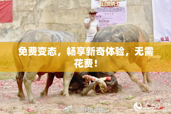 免费变态，畅享新奇体验，无需花费！