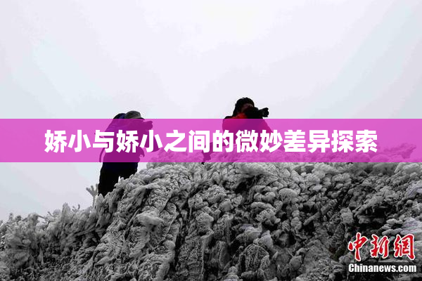 娇小与娇小之间的微妙差异探索