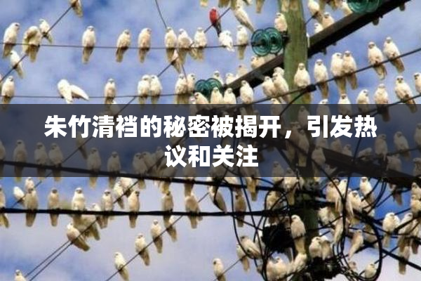 朱竹清裆的秘密被揭开，引发热议和关注