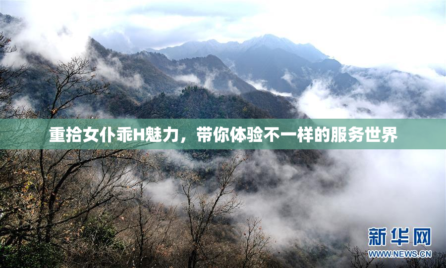 重拾女仆乖H魅力，带你体验不一样的服务世界