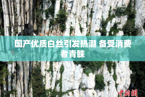 国产优质白丝引发热潮 备受消费者青睐