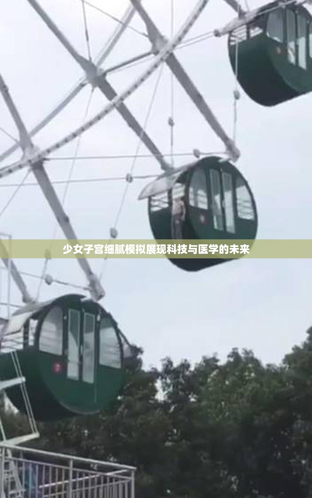 少女子宫细腻模拟展现科技与医学的未来